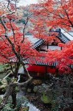 18065足球彩票比分-探秘18065期足球彩票比分,一场数据与激情的碰撞盛宴