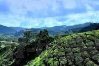 彩票360足球比分-彩票360足球比分,数据背后的激情与理性交织