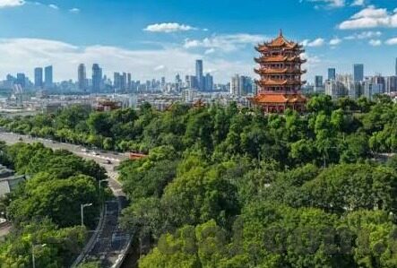 大家赢比分网 足球-揭秘大家赢比分网，足球迷的赛事数据宝藏库与观赛新体验