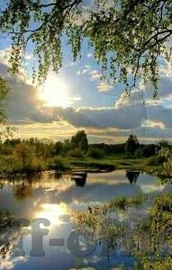 球探网即时比分足球-探秘球探网即时比分足球,球迷的实时战场与数据盛宴