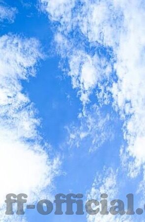 win足球比分直播-揭秘Win足球比分直播,球迷必备的实时观赛神器