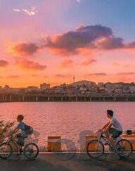 足球比分 滚球-足球滚球,在比分跳动中把握财富密码的博弈艺术